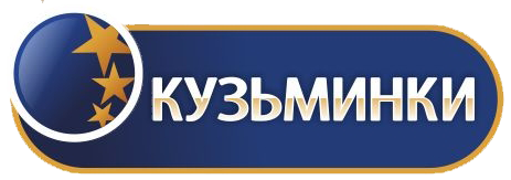 Сайт гостиницы Кузьминкив Москве
